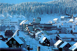 A beautiful picture of Zabljak, Montenegro